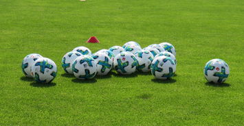 中国足球是否需要建立多语种教练课程，中国足球应该学哪国